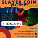 WhatsApp Image 2025-07-25 at 18.35.33_5a13b09d.jpg