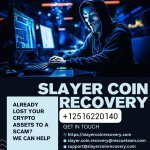 WhatsApp Image 2025-08-06 at 15.52.08_3a647a9d.jpg